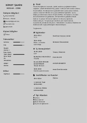 Ressam Cv Örnekleri cv indir